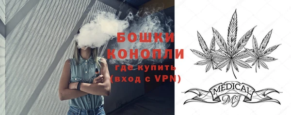 прущие крисы Белокуриха