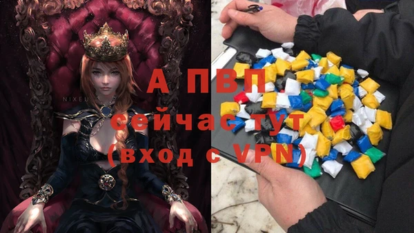 прущие крисы Белокуриха
