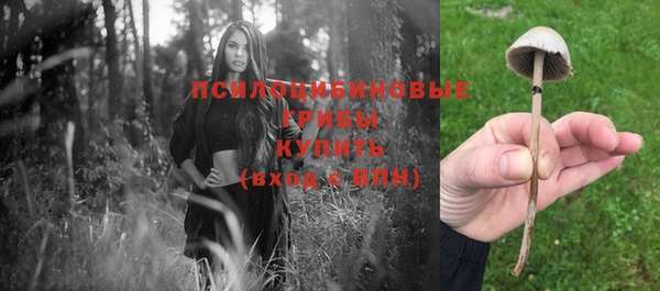 кокс Беломорск